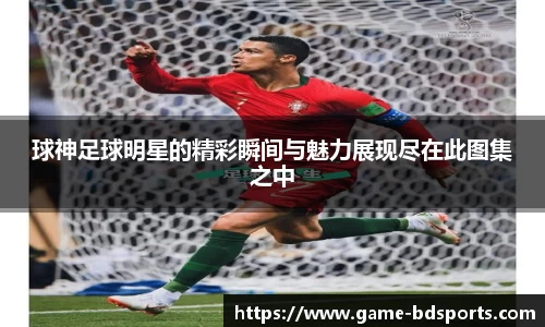 半岛体育官方网站